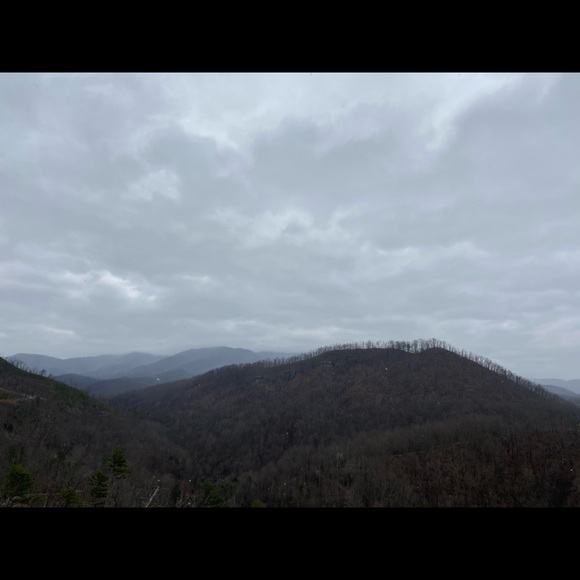 Meet your Posher, Kelli - Picture 1 of 1